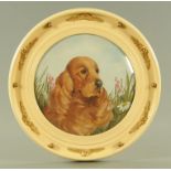 Dianne (British, 20th century), study of a long eared spaniel within a floral background,