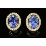 A pair of 18 ct white gold oval tanzanite and diamond halo ear studs, total weight 1.