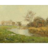 Lily Blatherwick, lake scene with ducks, signed, oil on canvas. 40 cm x 50 cm.