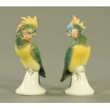 A pair of Volkstedt porcelain parrots, 20th century,