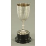 A silver presentation cup, "Springfield Challenge Cup Presented by Robert Jefferson Esq.