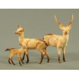 A Beswick stag, doe and fawn, the tan bodies with white spots, oval printed mark, the stag 19.