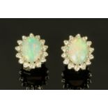 A pair of 18 ct white gold opal and diamond set earrings, the oval stones frames by 14 diamonds,