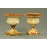 A pair of cast iron garden urns, late 19th century, having a shaped rim and part reeded body,