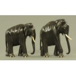 Two carved ebony Indian elephants, with ivory eyes and tusks. Tallest 23 cm.