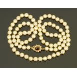 A string of pearls, with 9 ct gold seed pearl and garnet set clasp, the pearls of a uniform shape.