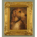 Attributed to George Earl (1824-1908), Scottish deerhound, unsigned, oil on artists board,