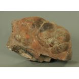 A large specimen sample of hematite (kidney stone), 31 cm wide, 15 cm high.