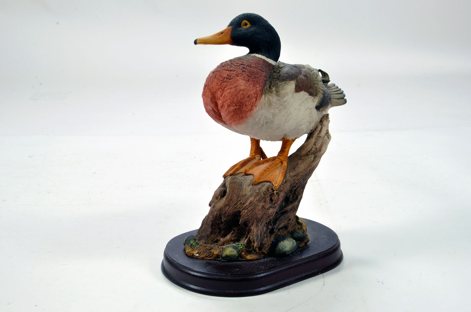 A static presentation piece comprising a Duck on branch. Fine Model with Box.