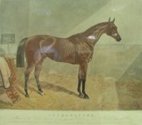 AFTER J F HERRING SNR "Cotherstone - Winner of The Derby Stakes Epsom 1843",