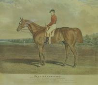 AFTER J F HERRING "Plenipotentiary - The Winner of The Derby Stakes at Epsom 1841....