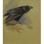 ARCHIBALD THORBURN "The Raven",