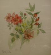 POLLY FULLER "Floral Study", watercolour signed lower left,