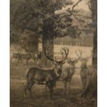 AFTER WILLIAM STRANG "Deer in a Parkland Landscape", black and white etching, unsigned,