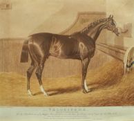 AFTER J F HERRING "Velocipede", study of a racehorse in stables, aquatint, engraving by C Hunt,