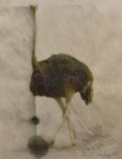MARY EPIGNE? "Ostrich", mixed media, individually signed and dated 2003 lower right,