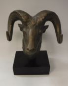 A modern brass figure of a ram's head with curly horns on a black lacquered plinth base,