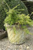 A Haddonstone lattice work tapering planter