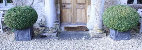 A pair of lead planters of cube form with topiary box bushes CONDITION REPORTS These