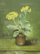 AFTER JOSE ÉSCOFET "The Auricula", a collection of twelve framed and glazed, coloured prints,