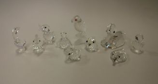 A collection of Swarovski Crystal Society small bird ornaments to include ducks, parrot,