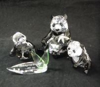 A Swarovski Crystal Society panda bear with bamboo shoot together with two cubs and a plaque