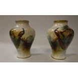 A pair of Royal Worcester baluster shaped vases hand painted with scenes of peacock in tree signed