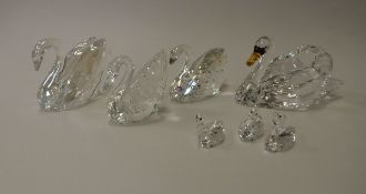 A collection of Swarovski Crystal Society swan figures , one with crystal in wings,