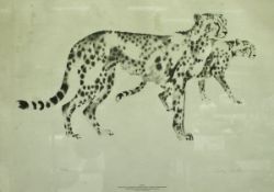 AFTER CLIVE WALKER "Cheetah", limited edition print of two two Cheetah's No.