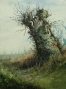 IAN PILLINGER "Coppiced Tree Stump", oil on canvas, signed lower right,