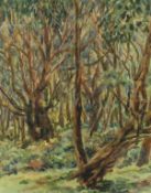 GWYN BROWN "Woodland Scene" watercolour, signed lower right,