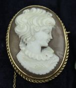 A 9 carat gold mounted cameo brooch depicting a young woman in collar and fan earrings in the