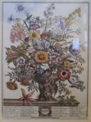 A set of four modern framed botanical "month" prints AFTER PIETER CASTEELS,