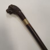 A 19th Century stained wooden walking cane, the carved rosewood handle as a male lion head,