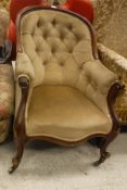 A Victorian show frame salon chair with buttoned back and serpentine front raised on brass caps and