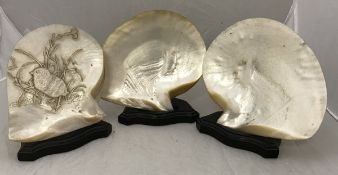 19th Century polished shell ornaments one decorated with a chick amongst foliage,