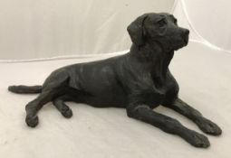 BELINDA SILLARS "Recumbent labrador" chocolate patinated bronze signed within the casting and No'd