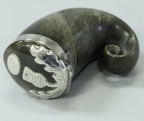 A Scottish curly horn snuff mull with white metal mounts as a thistle,