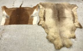 A Reindeer pelt and a Gazelle pelt