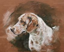 NICOLA OTTLEY "Study of a Labrador", watercolour, signed and dated 1988 lower right,