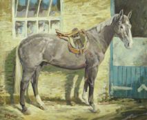 M M LATHAM "Harold", study of a grey hunter, oil on canvas, signed lower left, bears title,