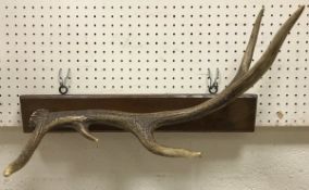A 5 point antler hat and coat rack on oak wall mount