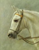 A V HARRIS "Head study of a grey hunter", oil on canvas,