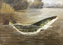 A 19TH CENTURY ENGLISH SCHOOL "Pike Breaking the Surface", oil on board,