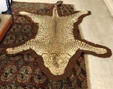 A Leopardskin rug on brown felt backing