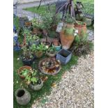 A collection of terracotta and other plant pots,