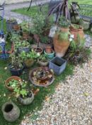 A collection of terracotta and other plant pots,