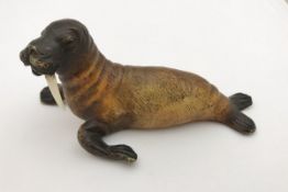 AFTER FRANZ BERGMAN "Male walrus" cold painted bronze bearing vase mark and inscribed "Austria" to