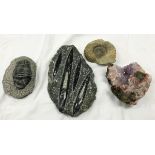 A collection of various fossils and geodes to include a Hollrrdrops trilobite on original matrix,