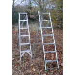 Two step ladders